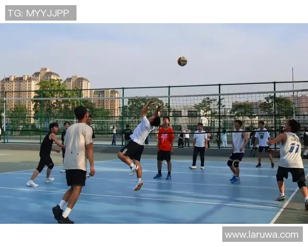 探索足球与排球的魅力交融之旅与运动精神的完美结合